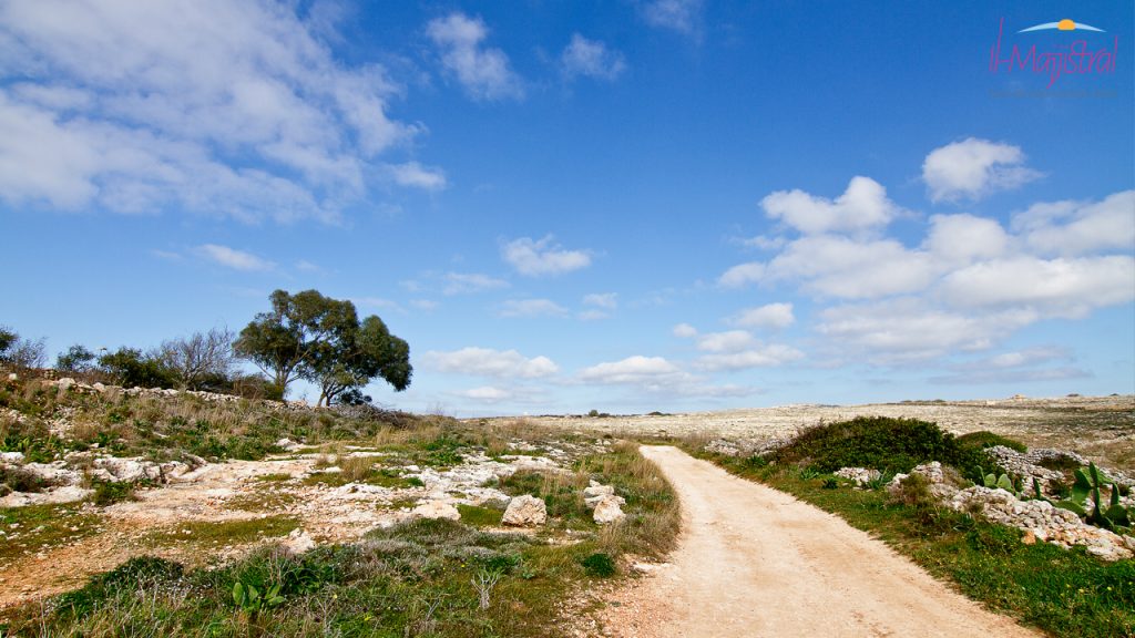 Taking on the Maltese countryside: mountain bike routes and rural exploration
