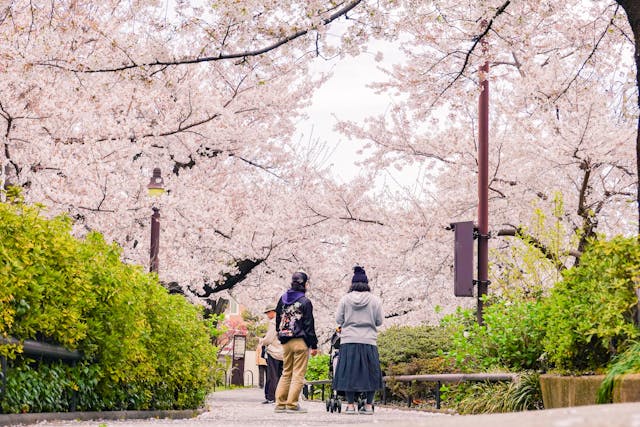 Top 5 Hotels in Tokyo for a Luxurious Stay