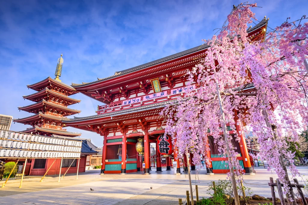 Exploring Tokyo: A Travel Guide to Japan’s Bustling Capital